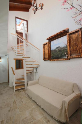 Dani House